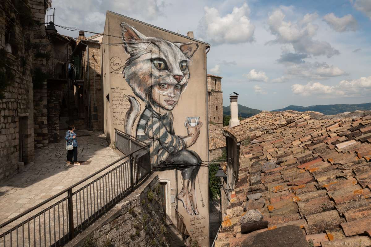 Immagine